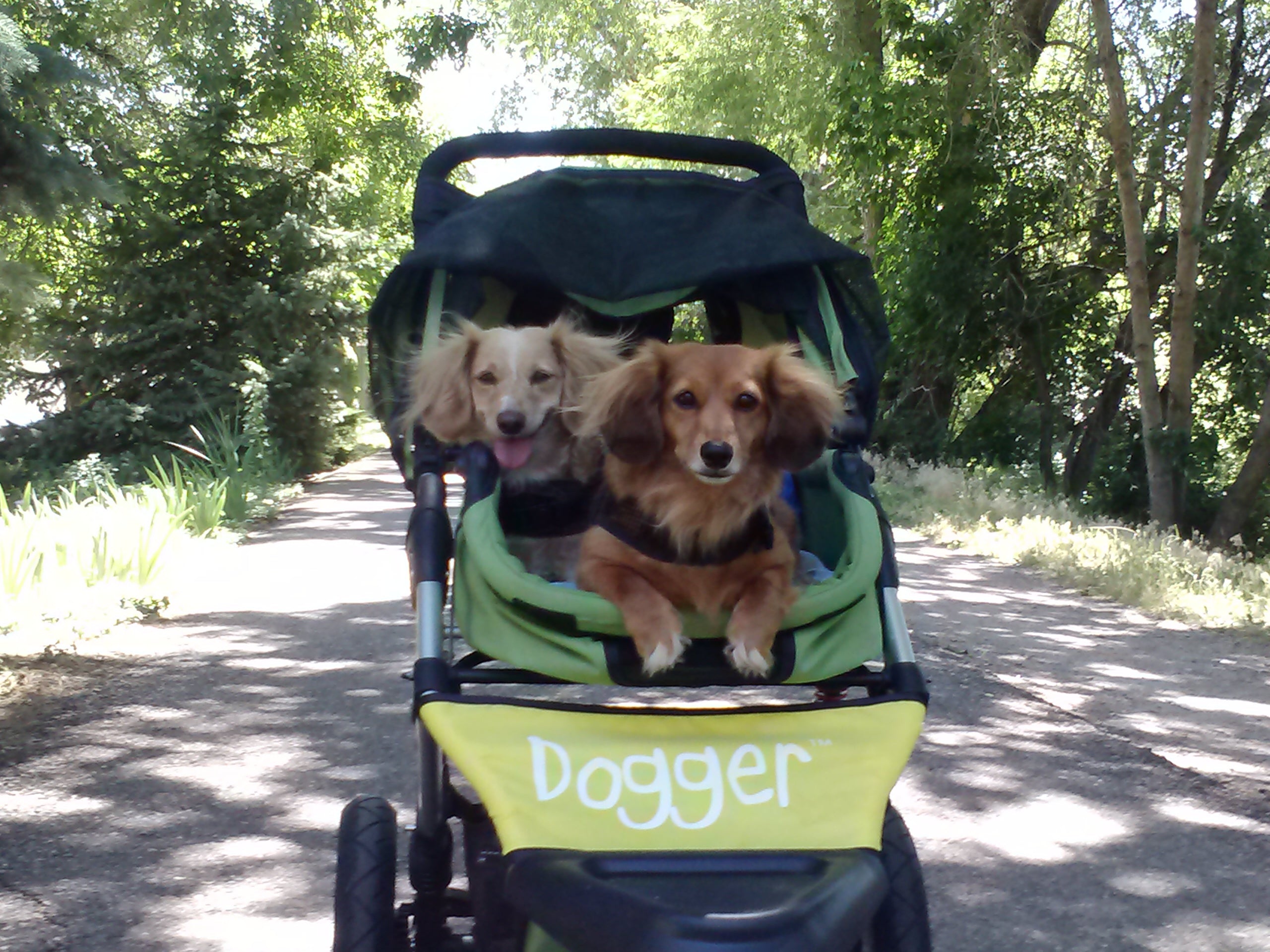 Dogger dog stroller