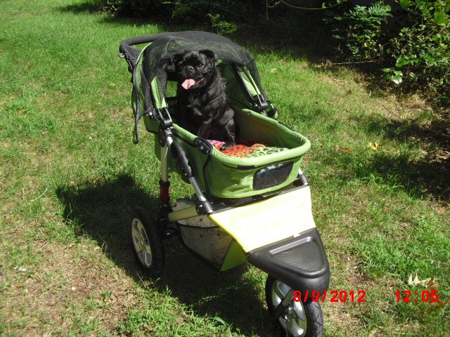 Dogger dog stroller