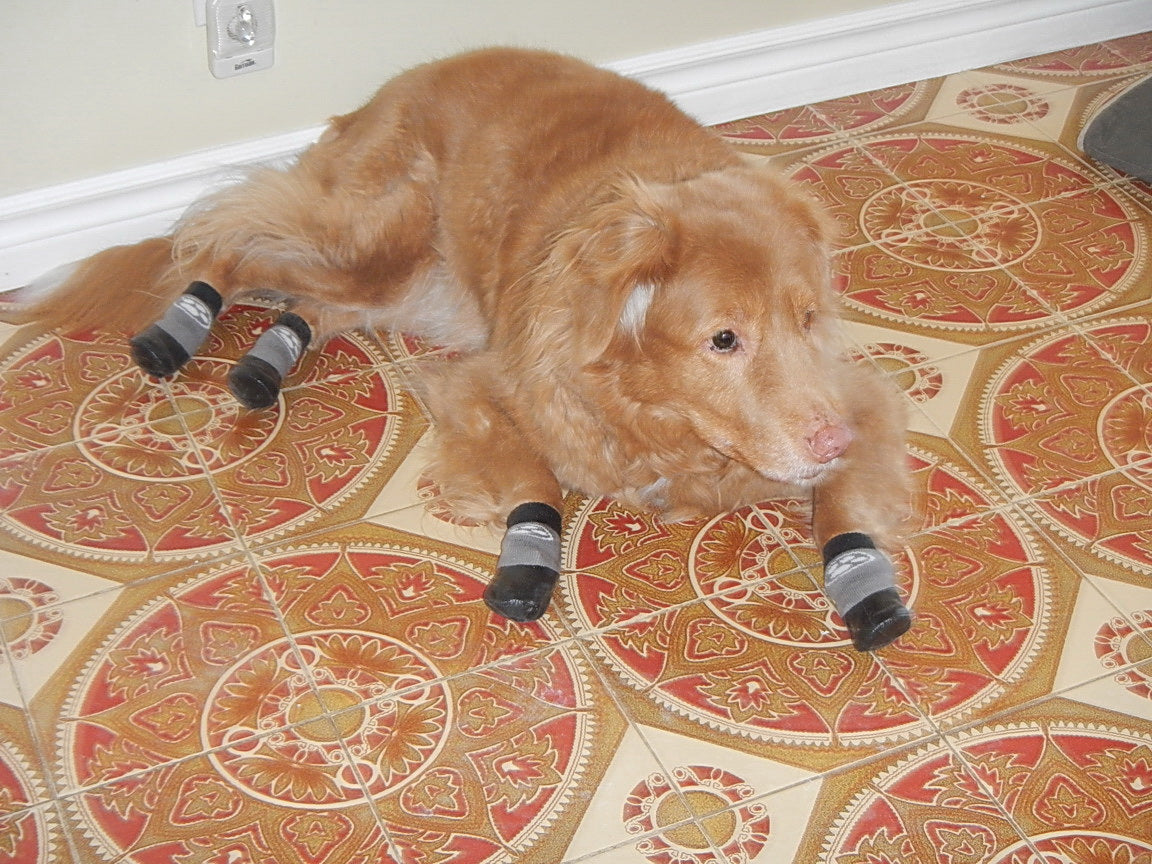 Grippers dog socks