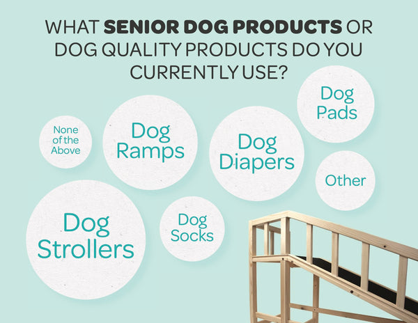 senior-dogs-products