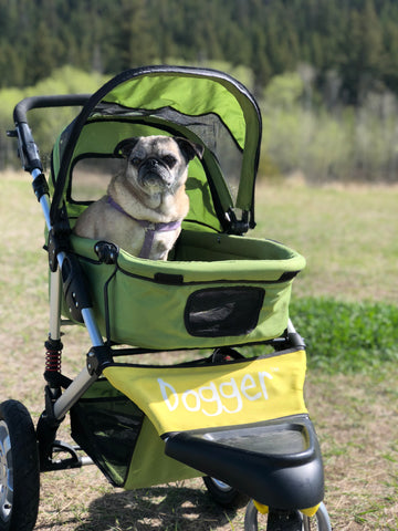 Dogger stroller