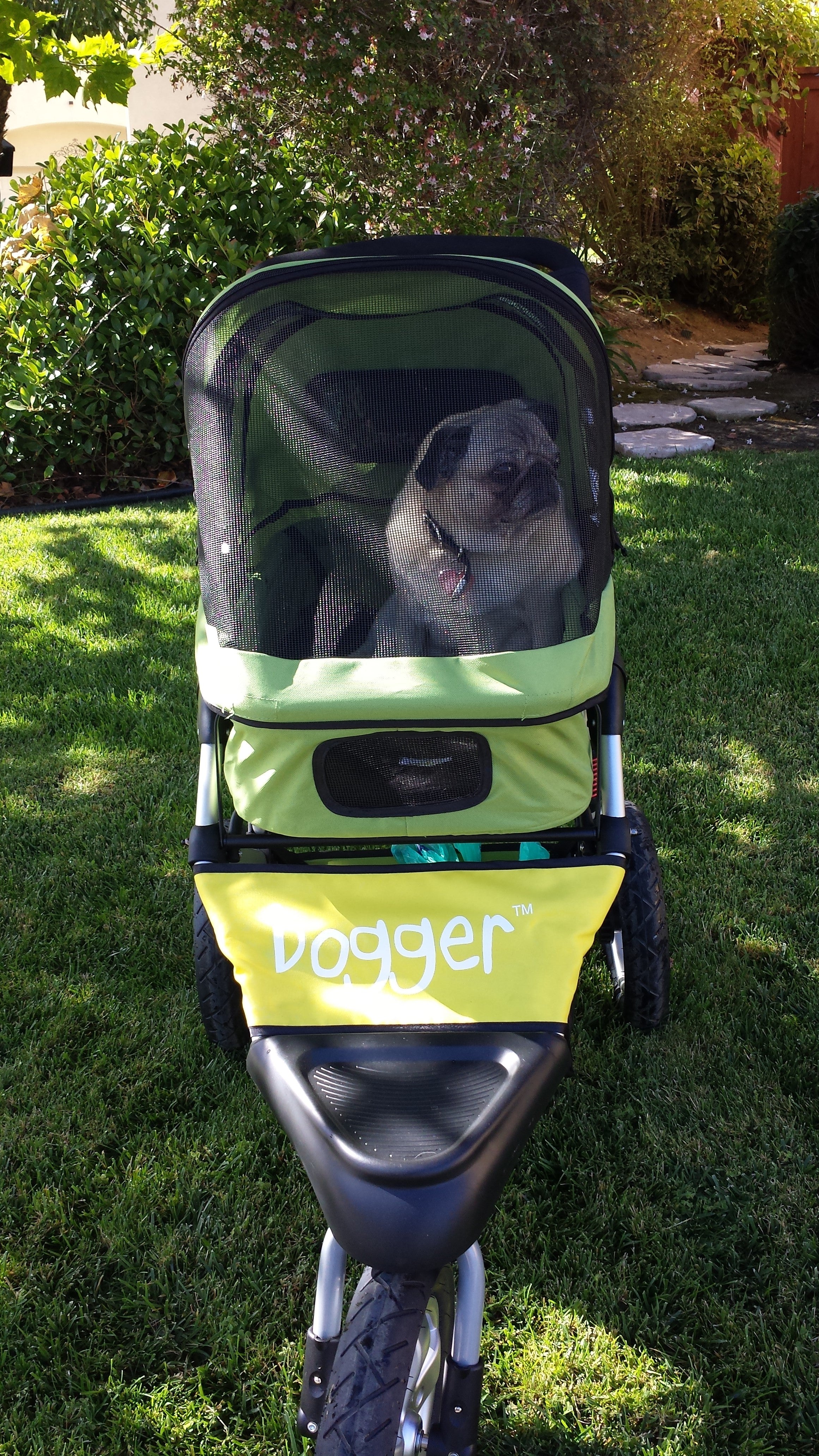 Dogger stroller