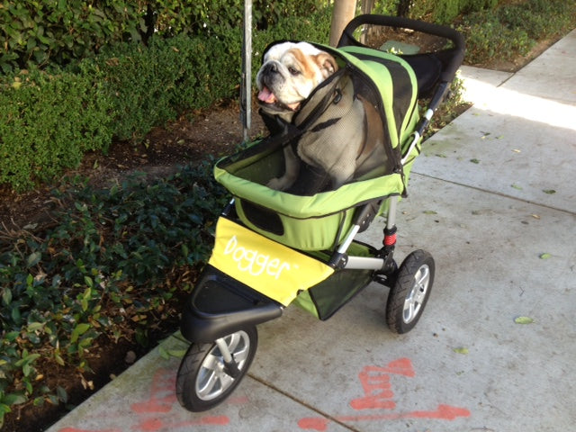 Dogger dog stroller