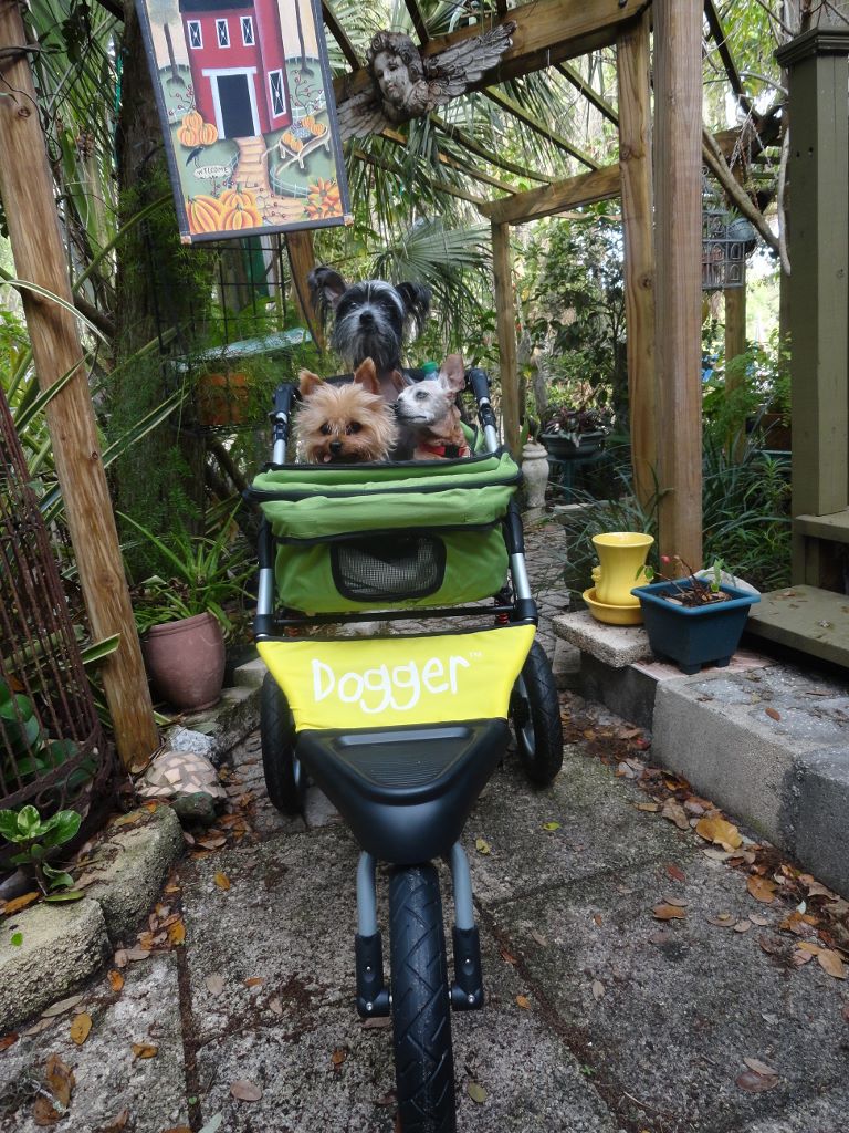 Dogger dog stroller