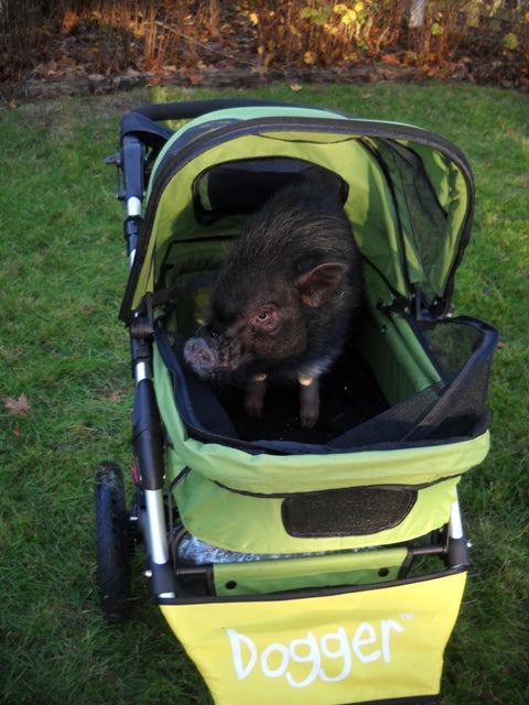 Dogger dog stroller