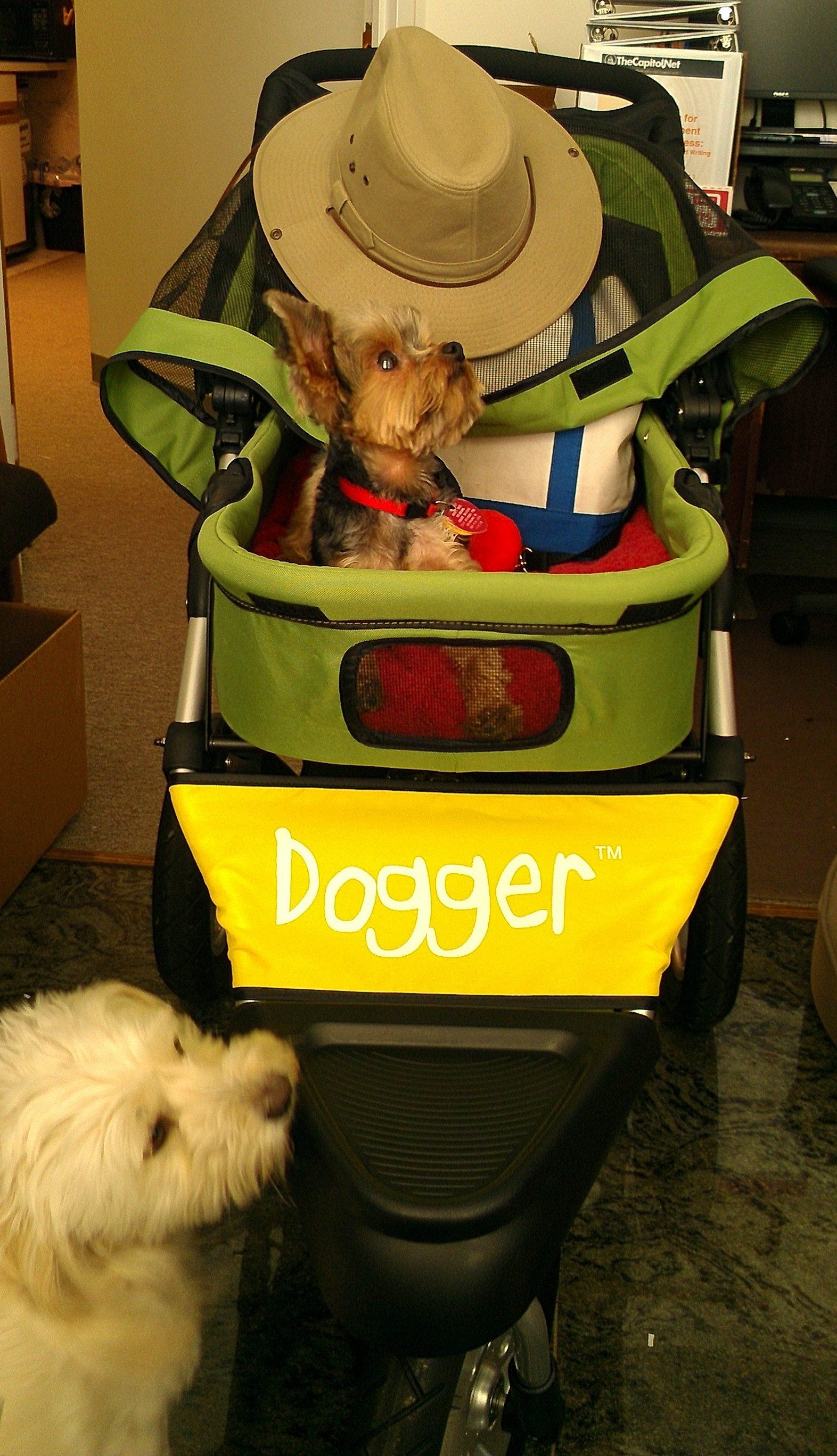 Dogger dog stroller