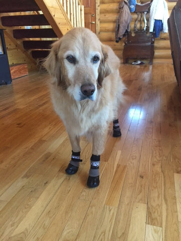 Grippers non slip dog socks