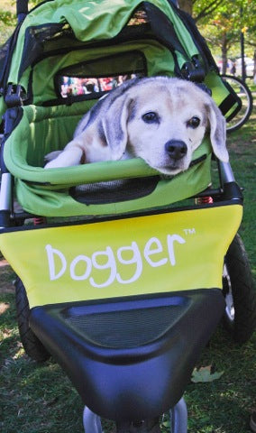 Dogger dog stroller