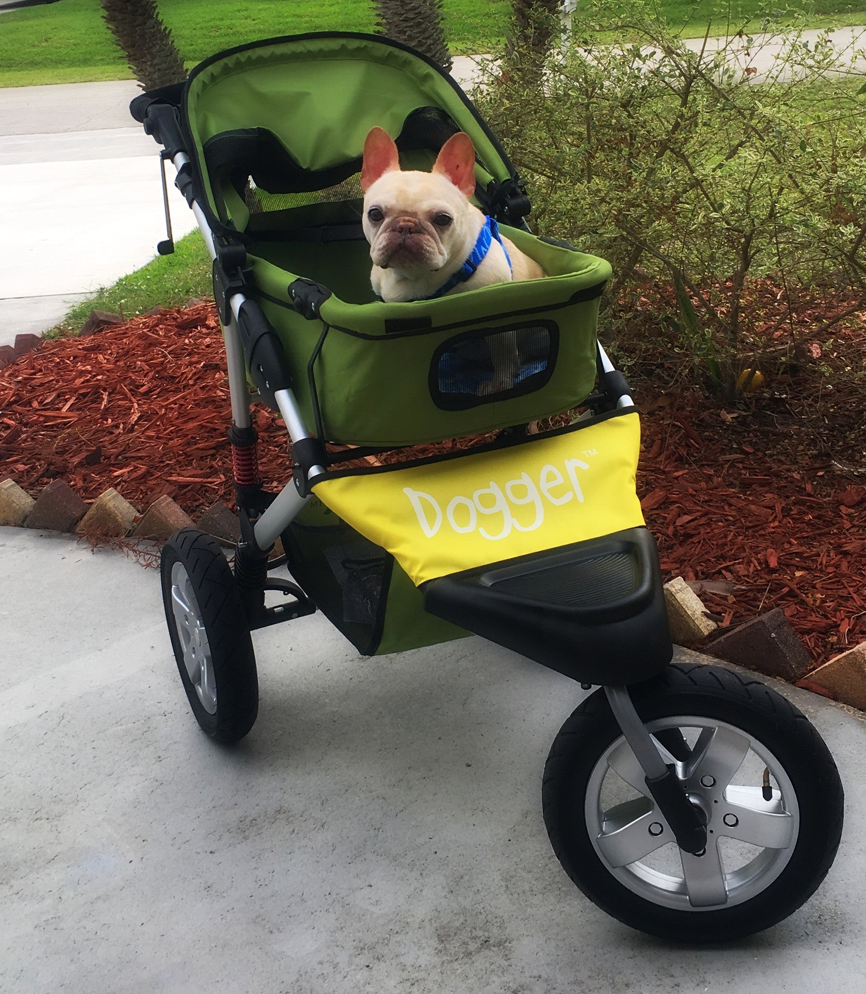 Dogger stroller