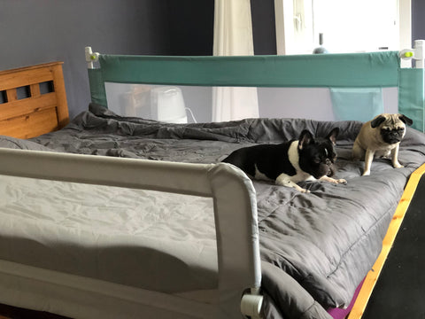 Keeping your senior dog safe - bed rails