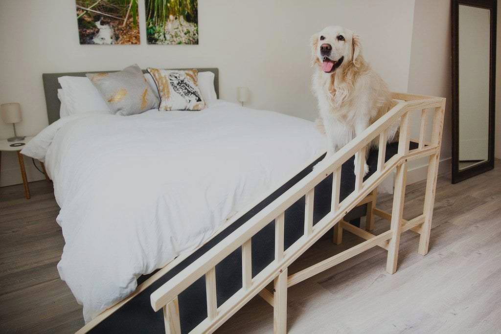 Dog Bed Ramp for Senior Dogs (With Safety Rail)