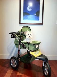 5 Creative Ways to Use a Pet Stroller
