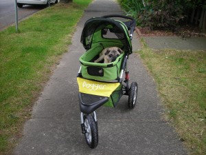 Dogger - Super Cool Dog Stroller