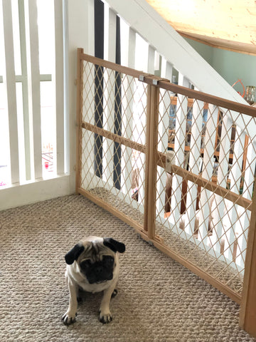 Keep your dog away from stairs with a dog gate