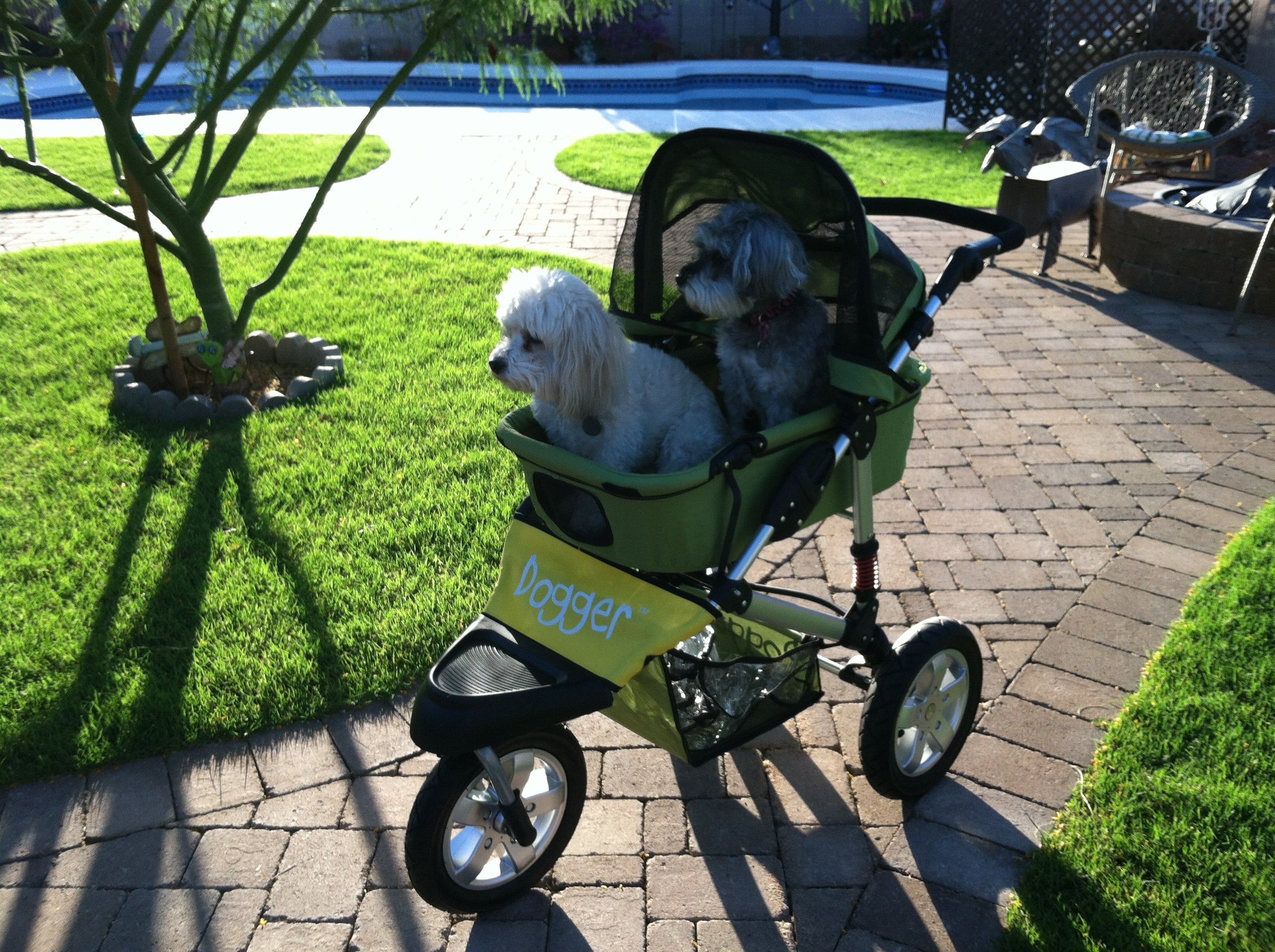 Dogger dog stroller