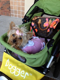 Dogger dog stroller