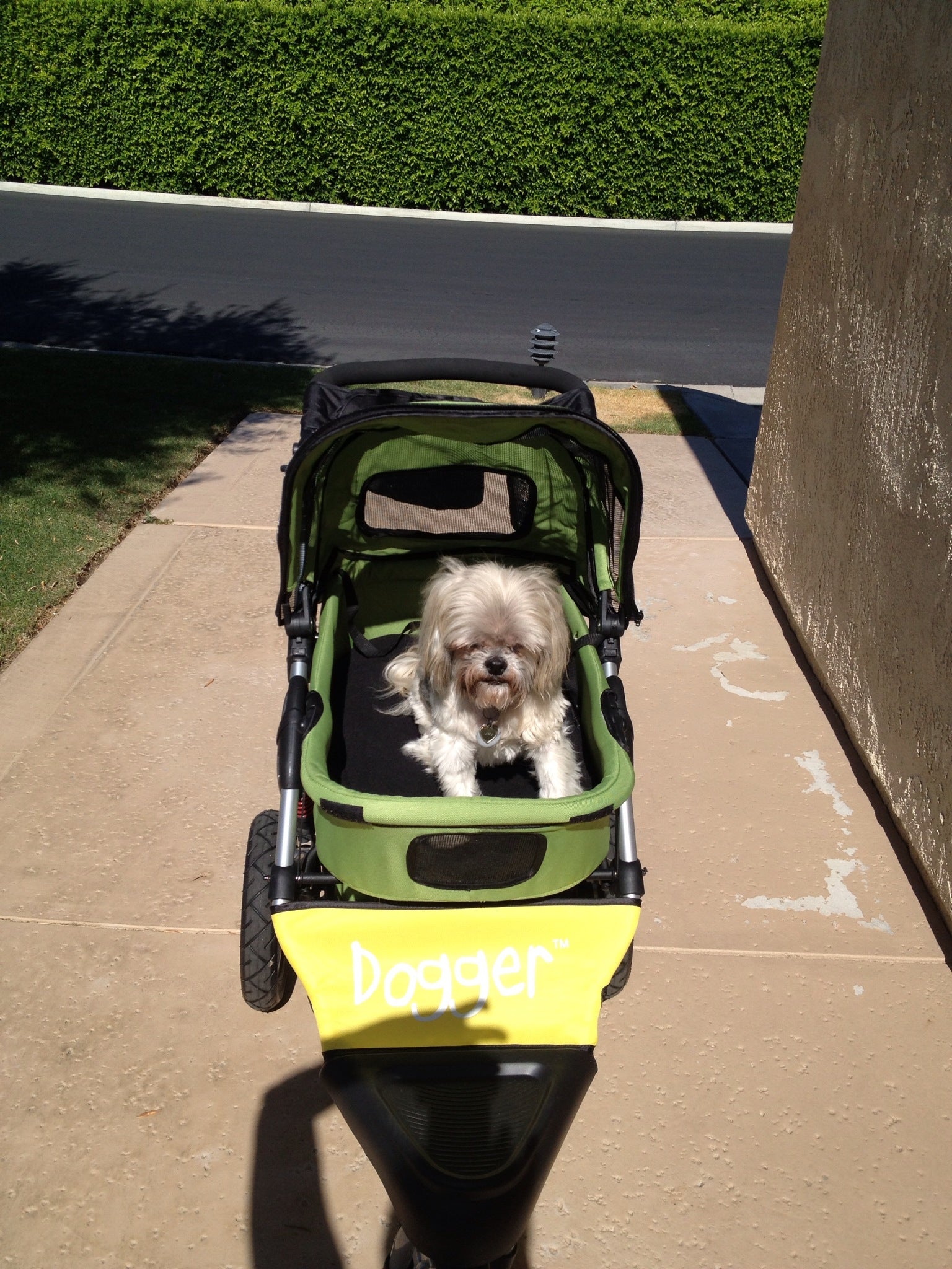 Dogger dog stroller