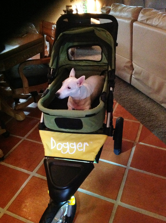 Dogger dog stroller