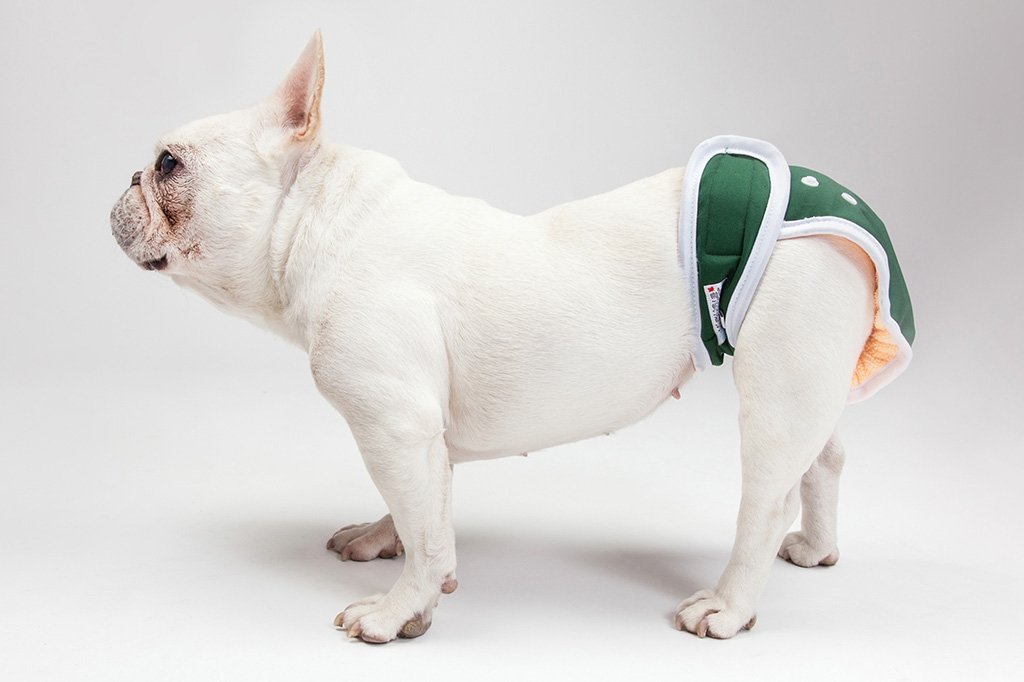 puppy diapers for male dogs