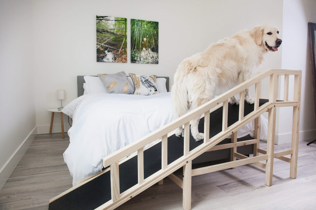 gentle rise bed ramp