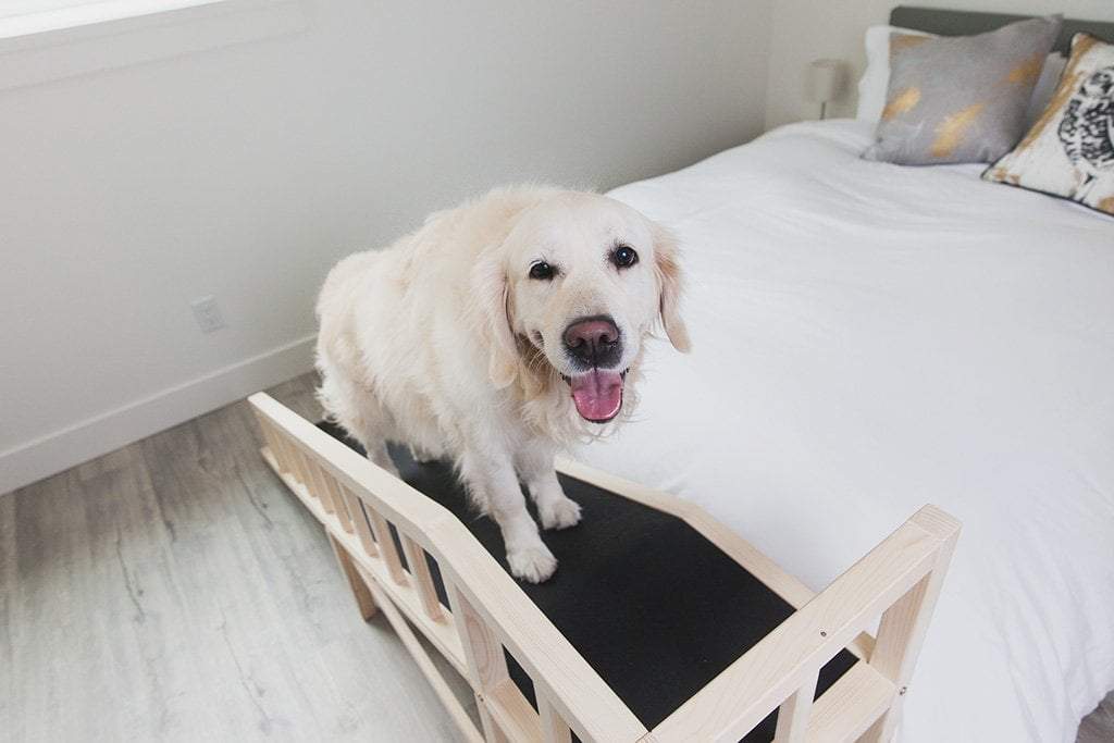 Gentle Rise™ Bed Ramp Dog Quality