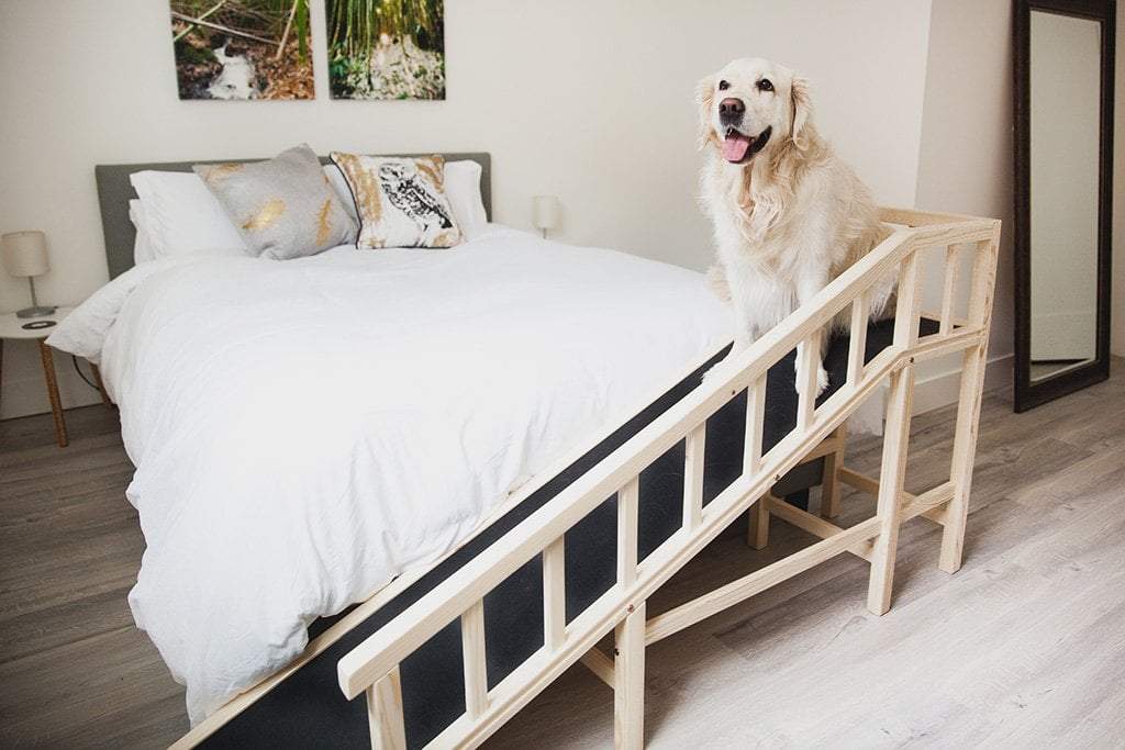 stairs for dogs to get on bed