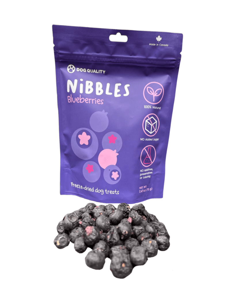 The Benefits of Blueberries for Dogs - Shop LP