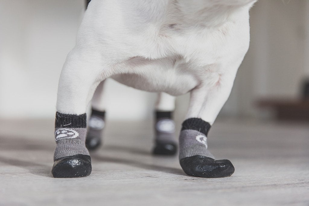 booties for dogs for traction