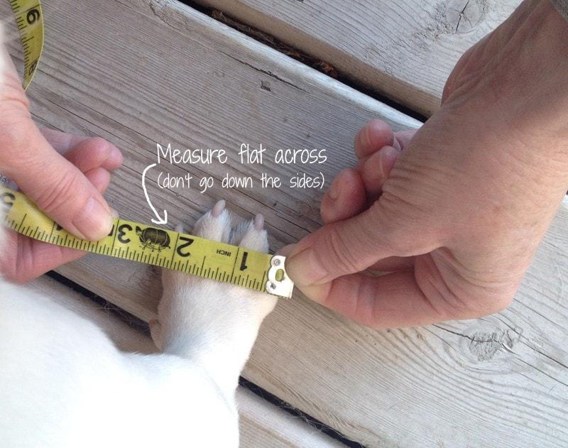 non slip dog booties hardwood floors