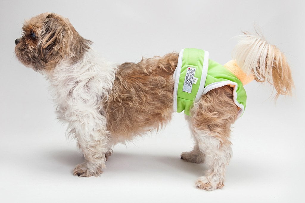 washable female dog diapers