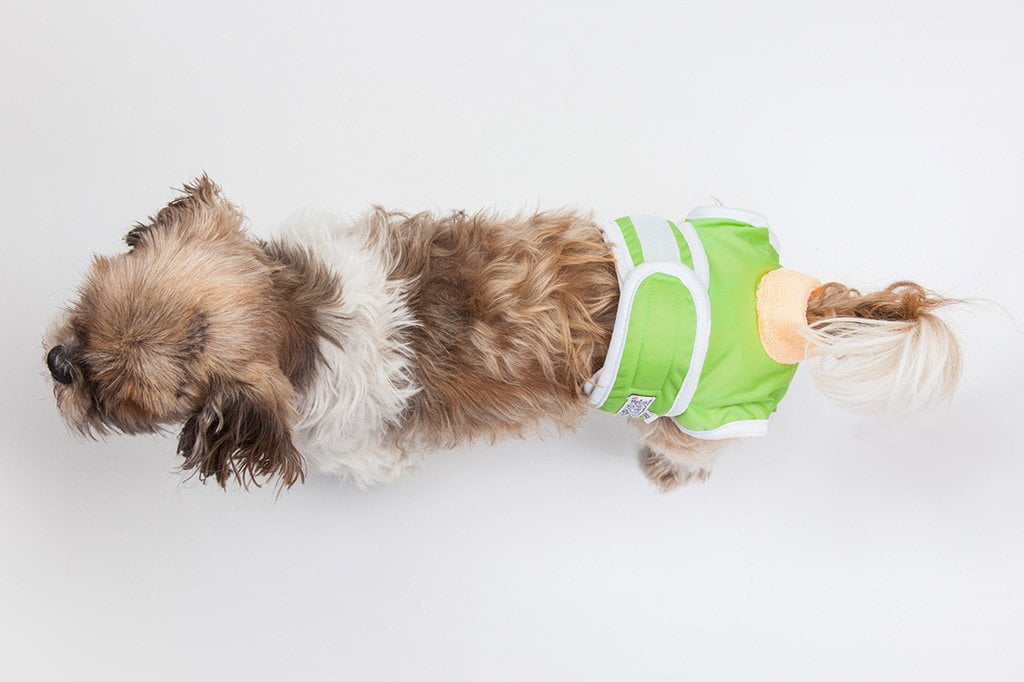 best diapers for female dogs