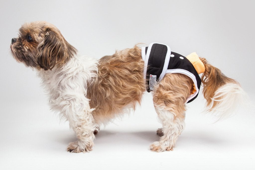 puppy diapers for male dogs