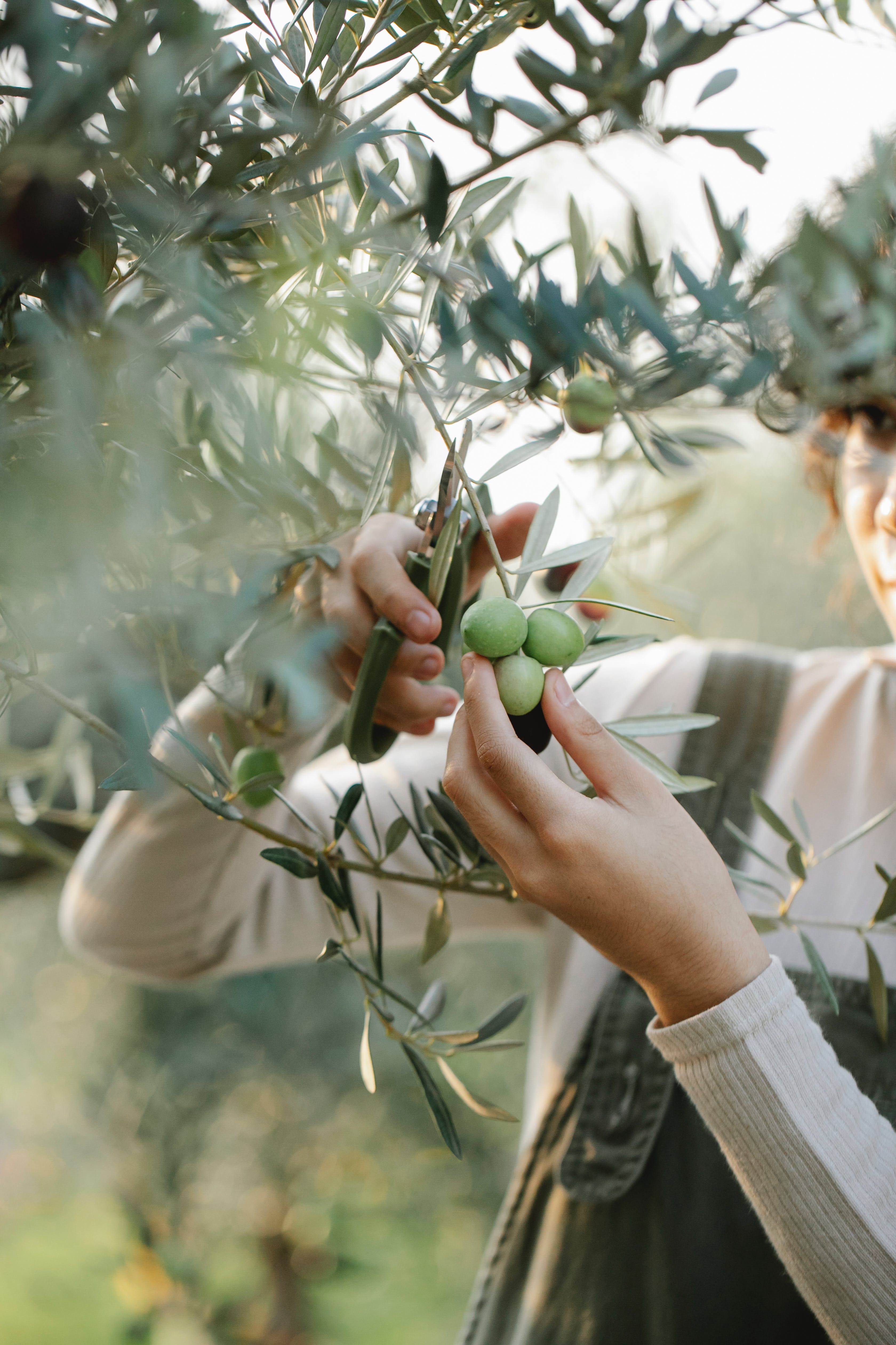 QUELLE HUILE NATURELLE, VÉGÉTALE ET BIO UTILISER SOUS LA COUETTE ? 