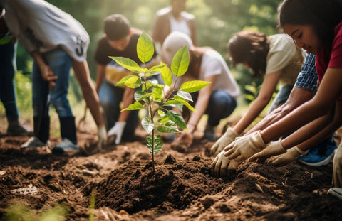 Community Supported Agriculture