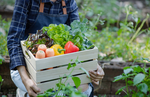 Organic Farmer carrying Vegetables