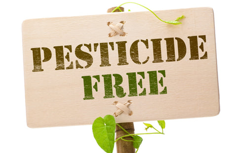 Pesticide Free and organic