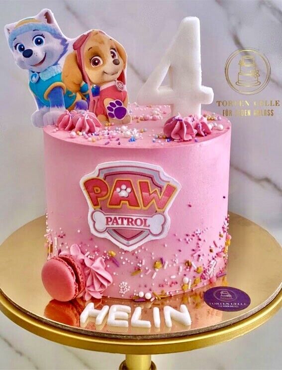 Paw Patrol Pink Edible Icing PRE-CUT Cake Topper 4 INCH / 5 INCH – House of  Cakes