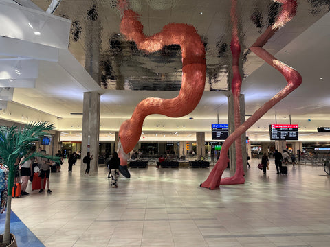 Tampa Airport Flamingo Art Work Statue