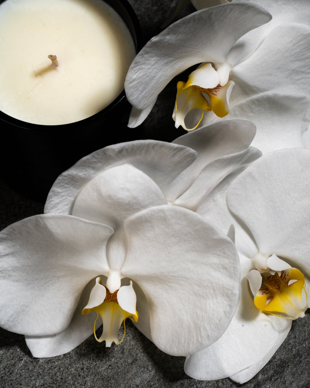 Black Orchid Soy Candle – burnncandles