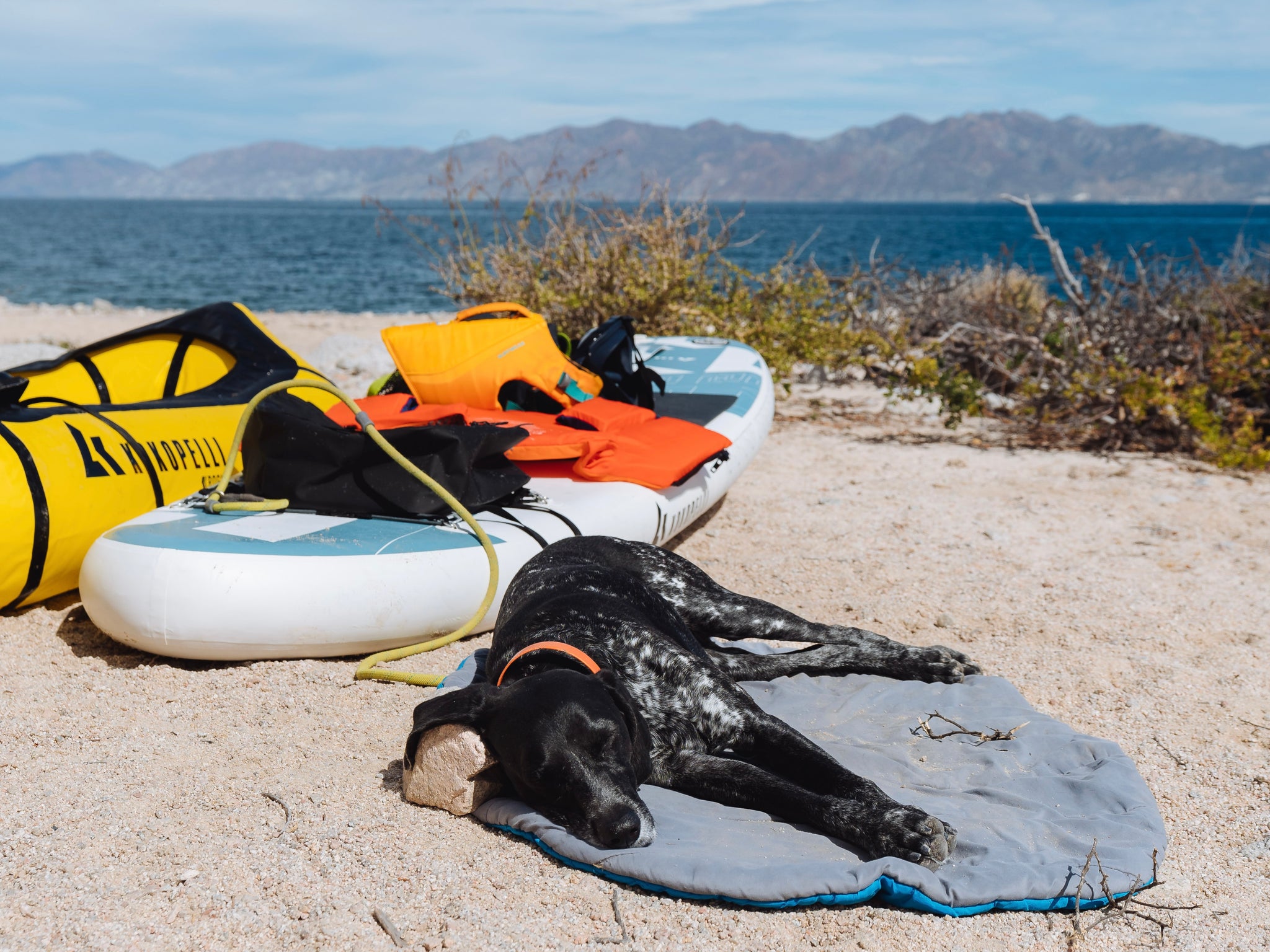 a tired puppy relaxing next to a kokopelli chasm lite and Rogue R-Deck packraft