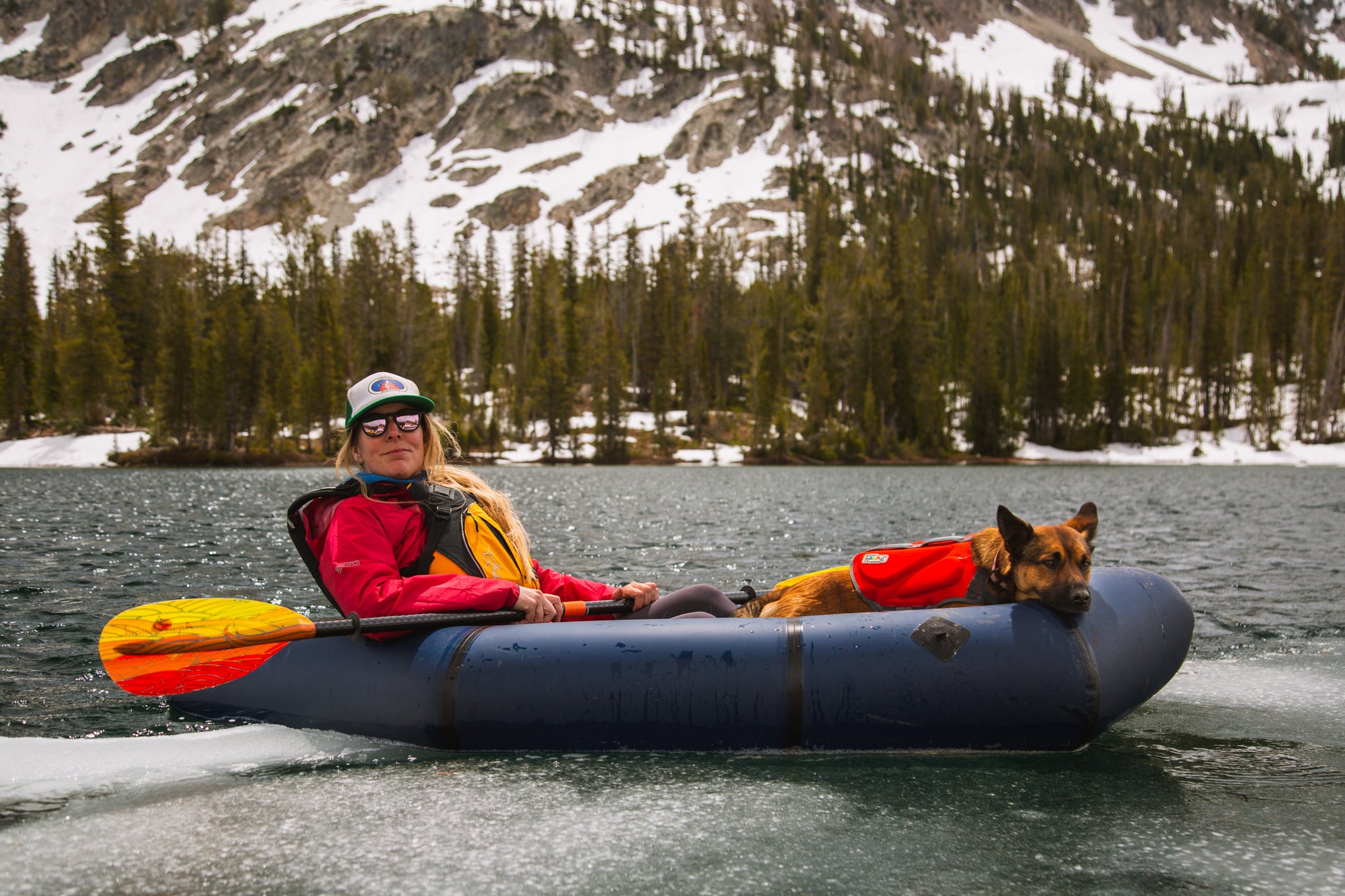 Dog Life Jacket