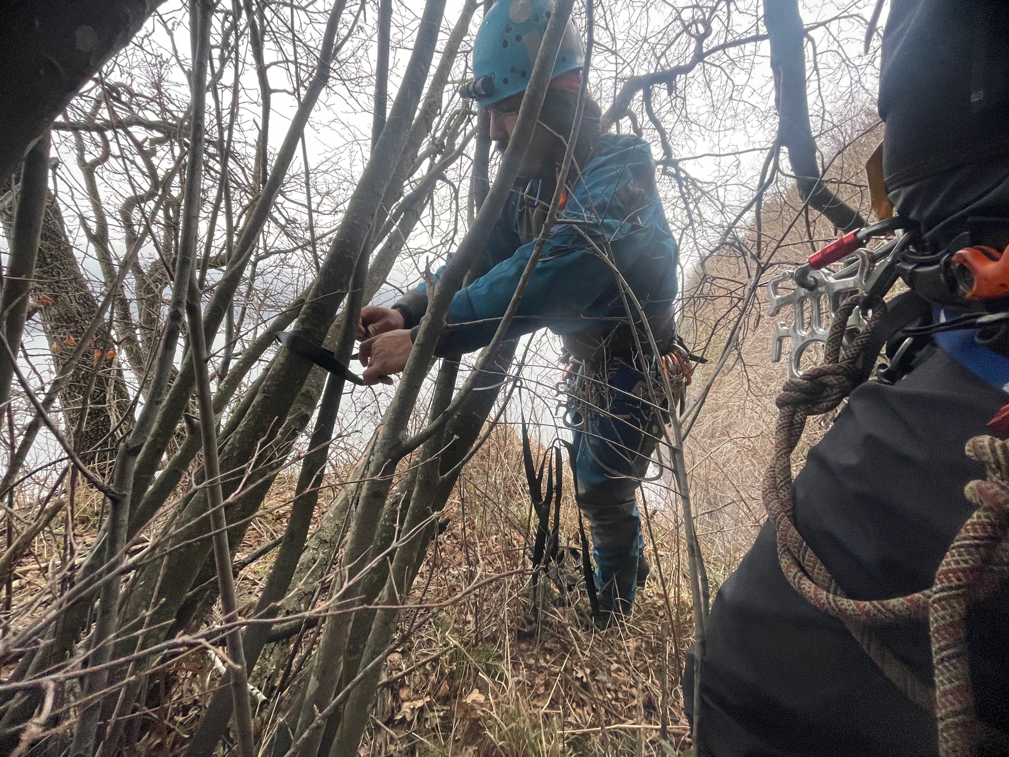 Setting up the rappel with a tree anchor