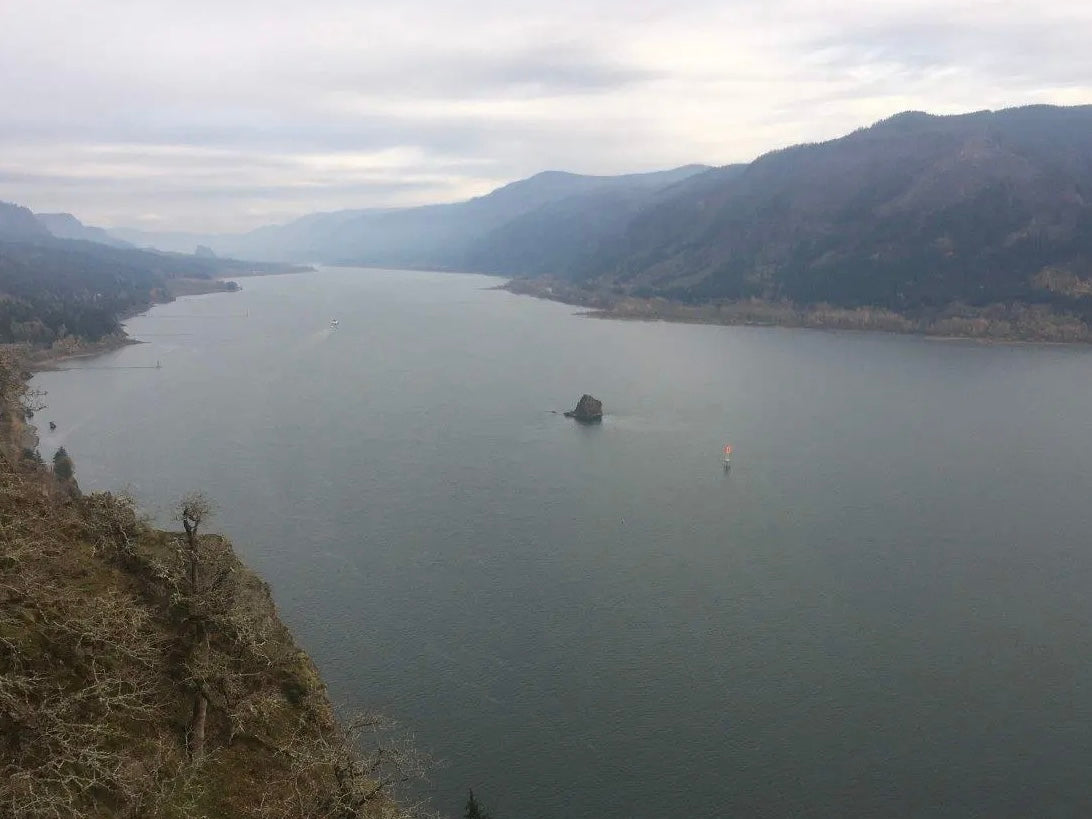 views of the Columbia river from cape horn