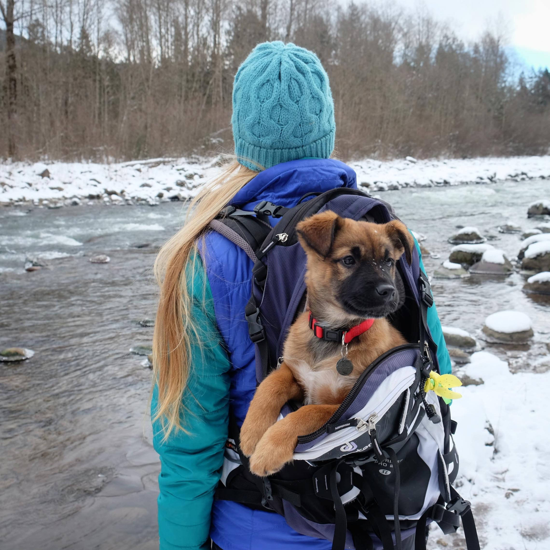 Tips for Packrafting with Your Dog Kokopelli