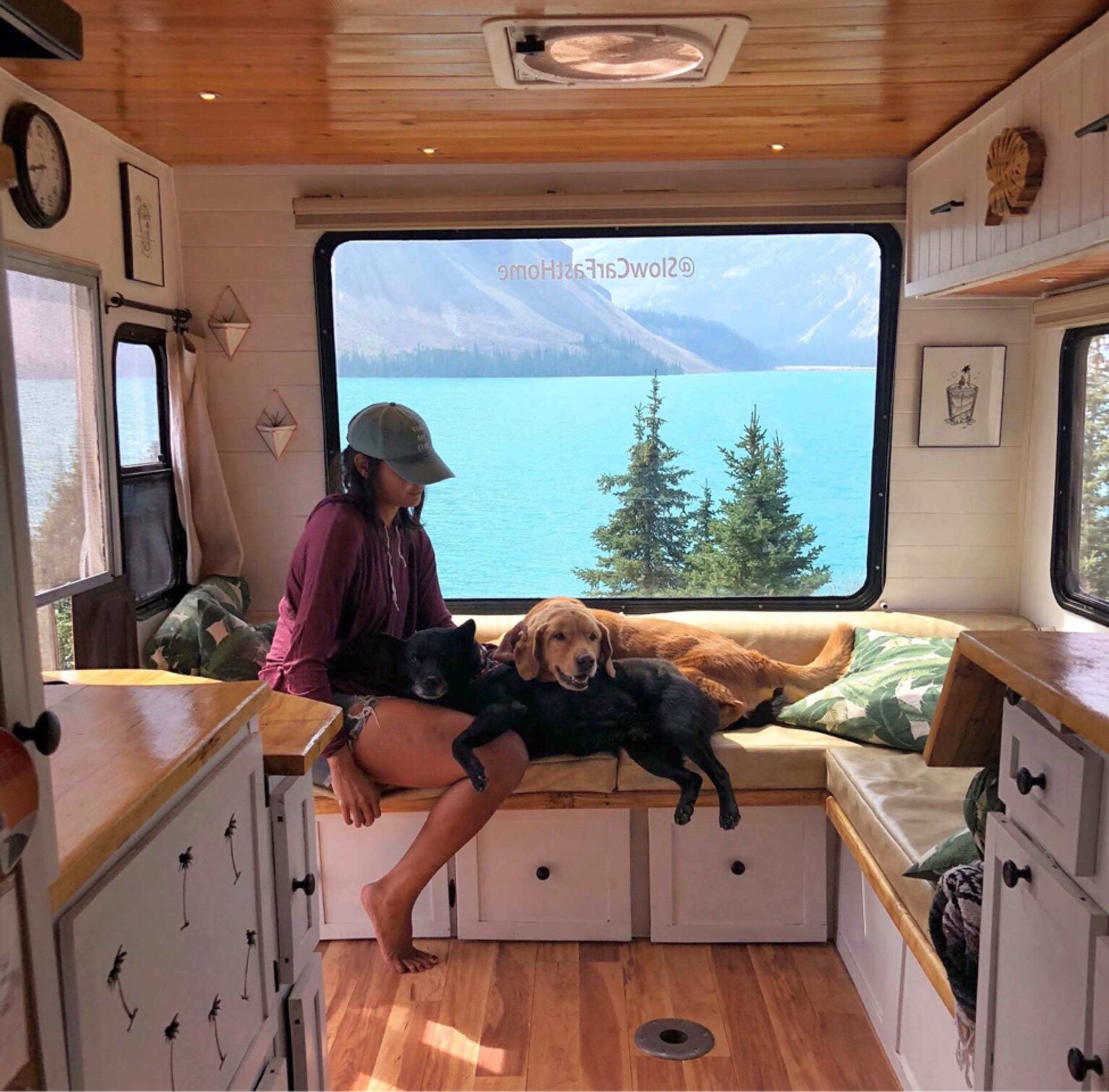 woman and dog sitting in front of window in a van looking out to a lake