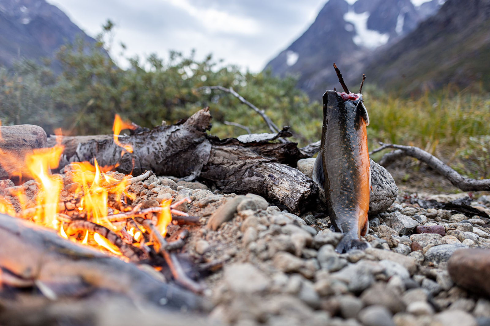 Artic Char grilled over an open fire in South Greenland Tasermiut Fjord
