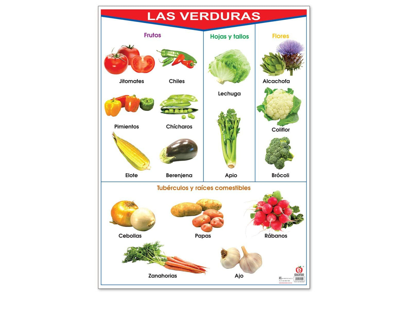 Póster Las Verduras Educatodo 4724