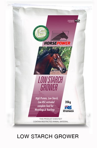 are horses made into dog food