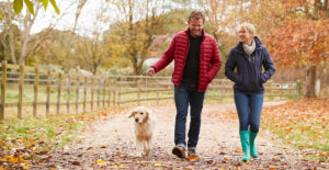 overgang naar de herfst