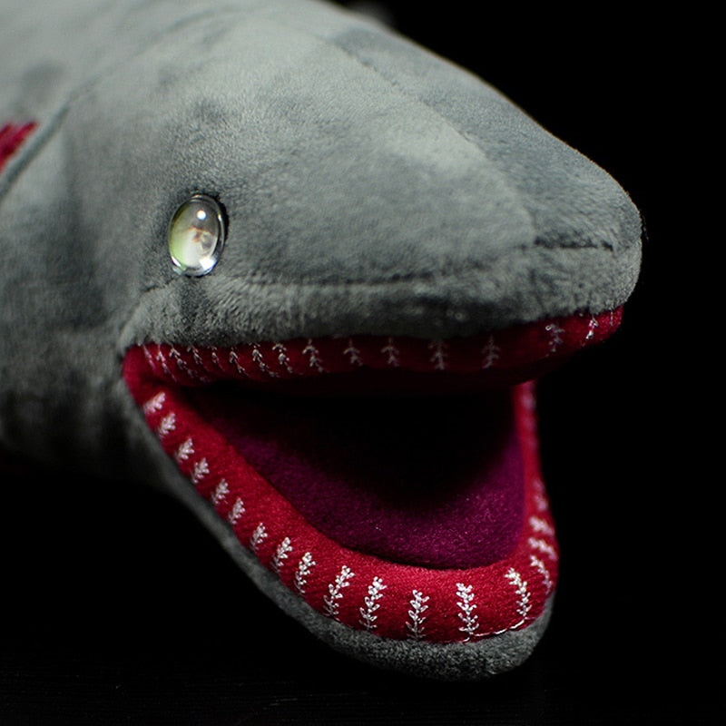 frilled shark plush